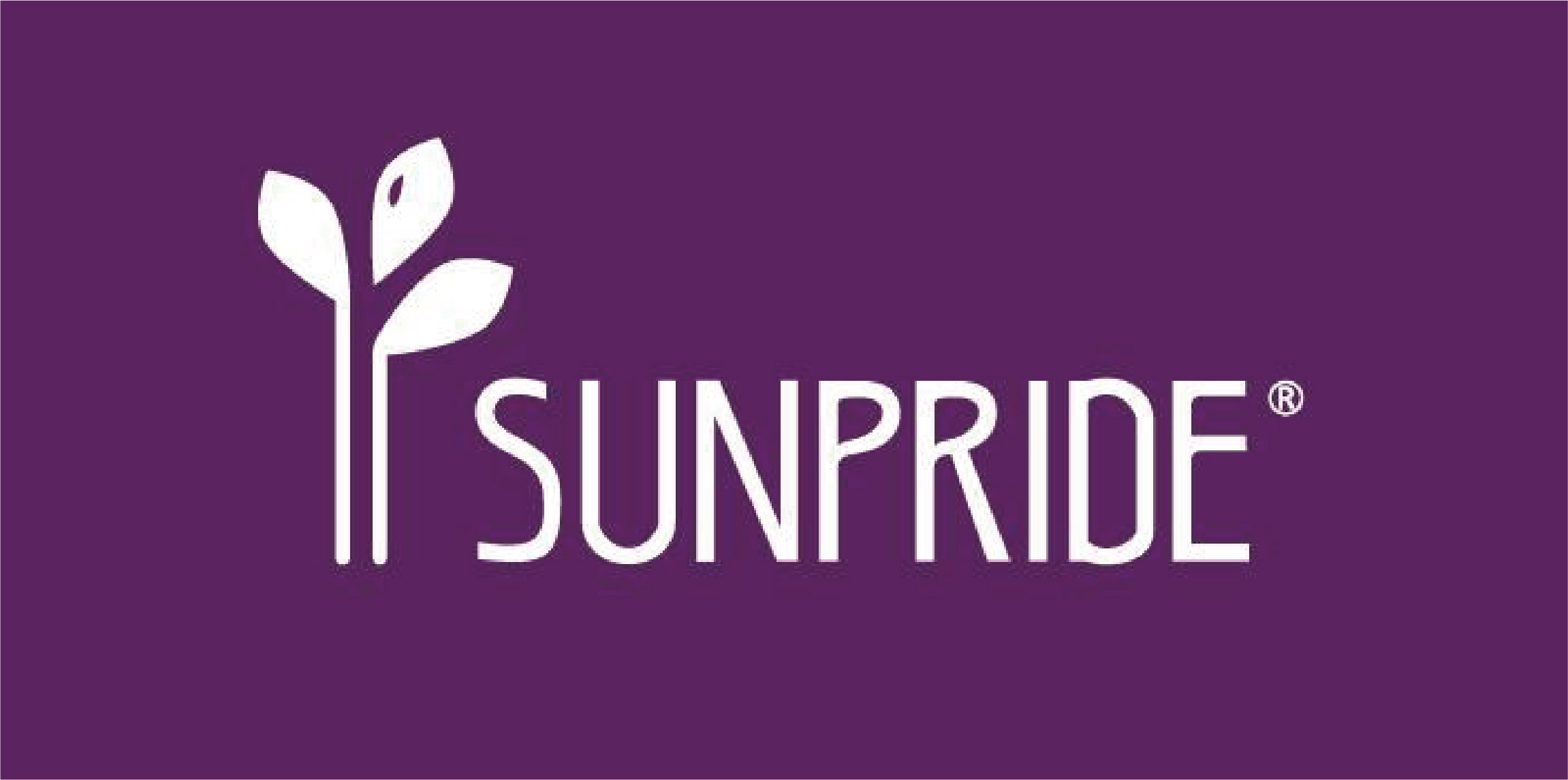 皇基股份有限公司